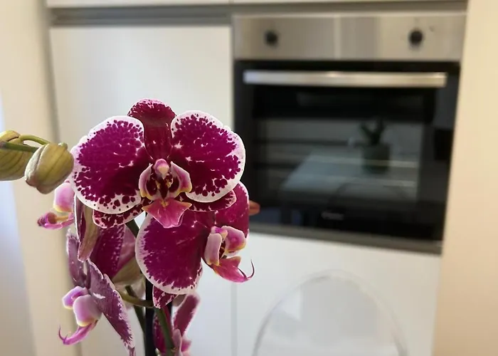 Simon's House Διαμέρισμα Ρώμη