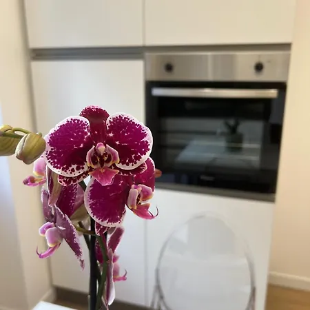 Simon's House Apartment Rom